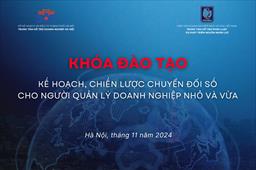 Hỗ trợ đào tạo kế hoạch, chiến lược chuyển đổi số cho người quản lý