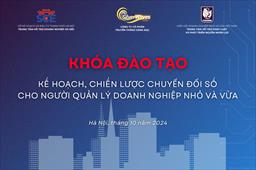 Hỗ trợ đào tạo kế hoạch, chiến lược chuyển đổi số cho người quản lý